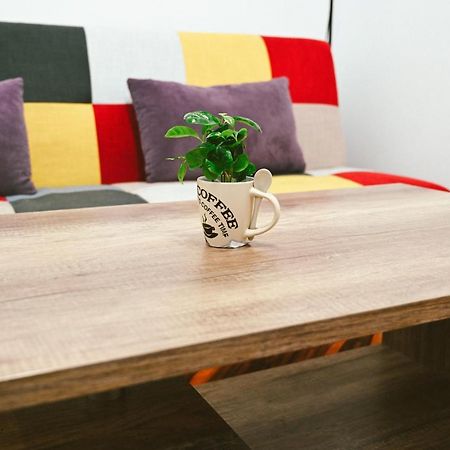 Cozy Apartment Braşov Eksteriør bilde
