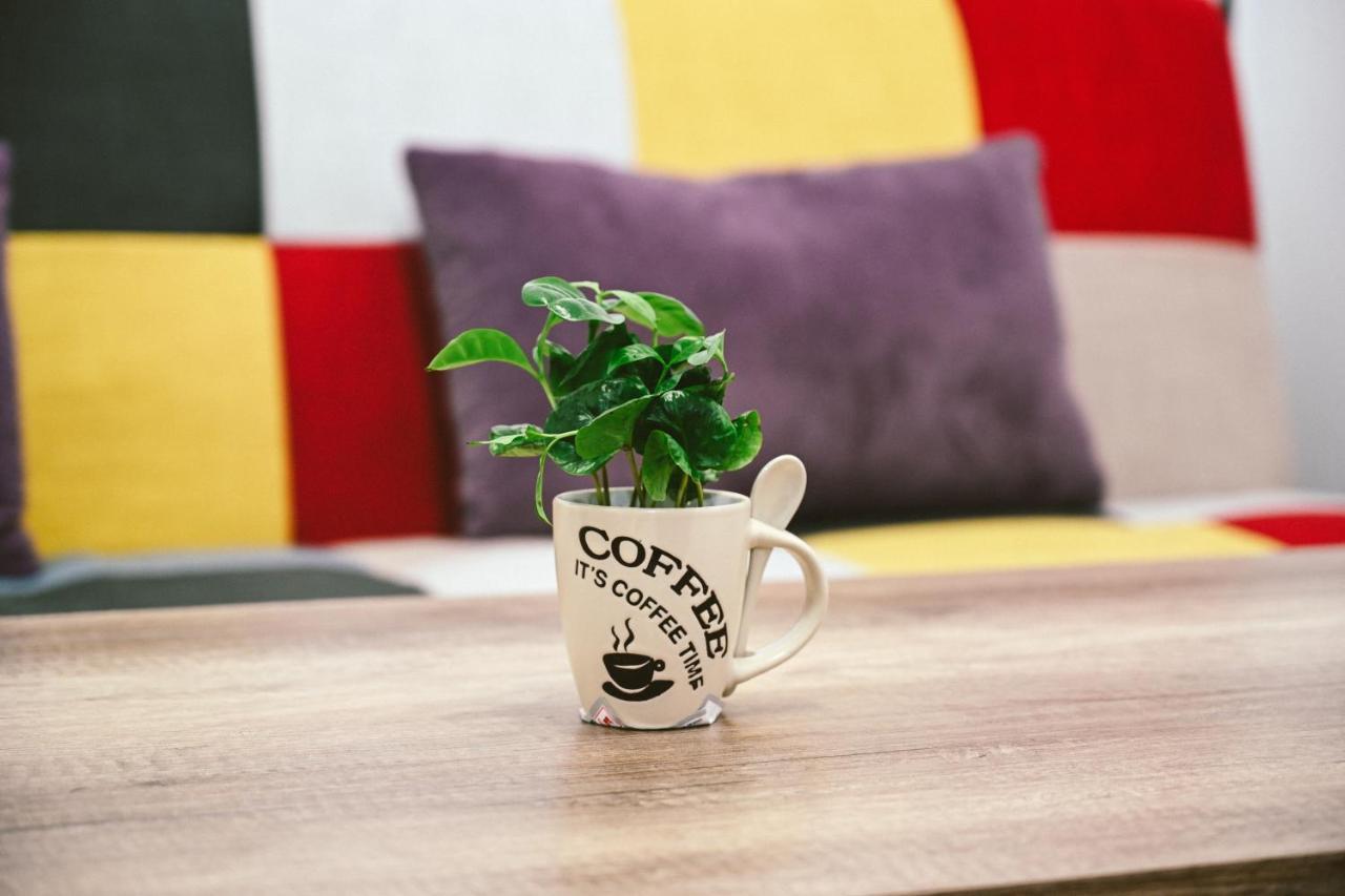 Cozy Apartment Braşov Eksteriør bilde